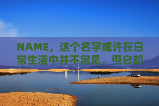 NAME，这个名字或许在日常生活中并不常见，但它却在某些领域里扮演着重要的角色。今天，让我们一起来探索这个名字背后的故事和意义